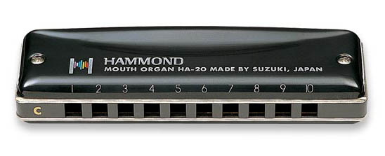 ProMaster Hammond