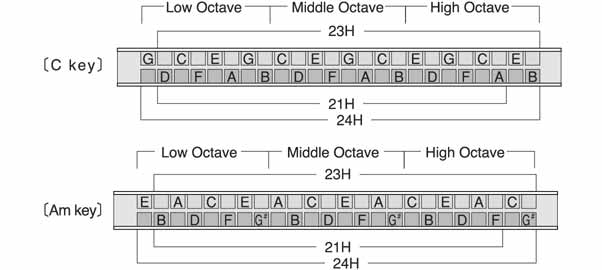 Tremolo Harmonica Notation Charts